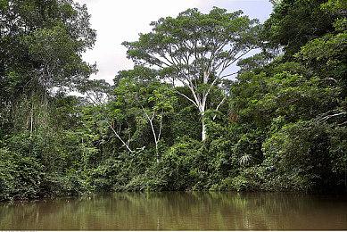 《暗黑破坏神2：重制版》NS版截图 画面效果还不错